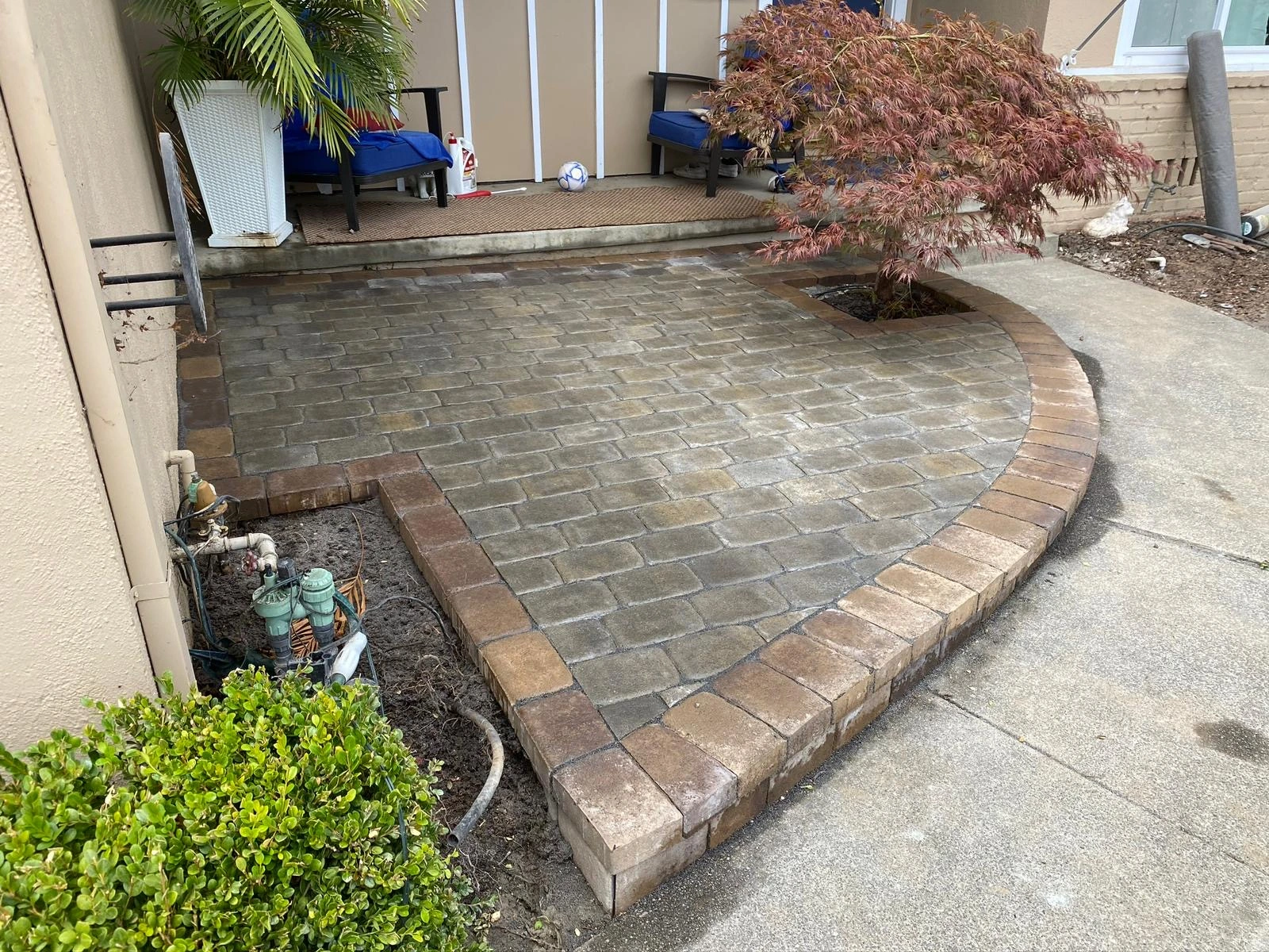 Walkway-Pavers-Service-9 - Three Rocks Pavers, Inc. Stone patio with brick edging, featuring a small red-leafed tree and a potted plant with blue chairs in the background. Nearby are a bush and decorative garden figurines.